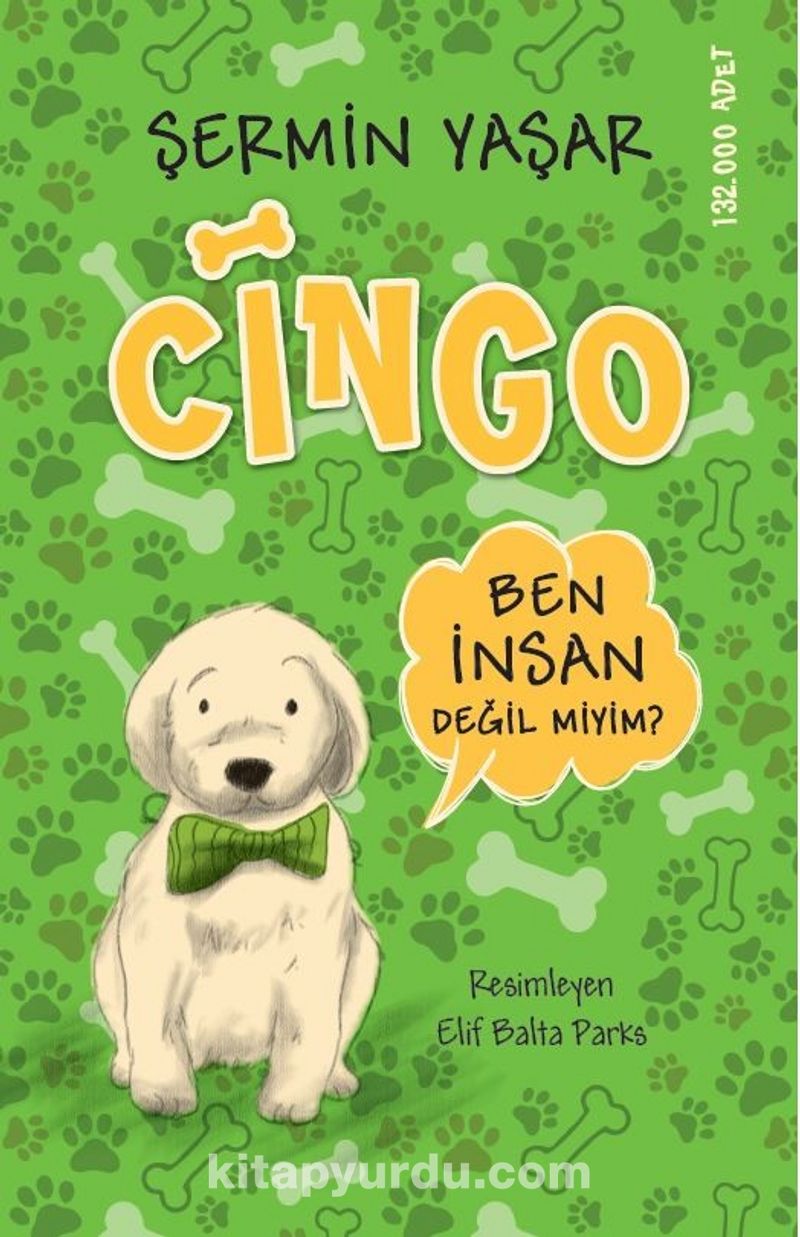 Cingo (Karton Kapak)