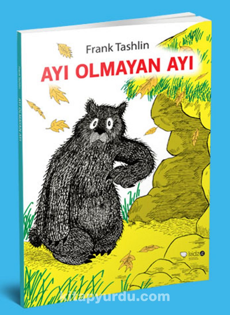 Ayı Olmayan Ayı