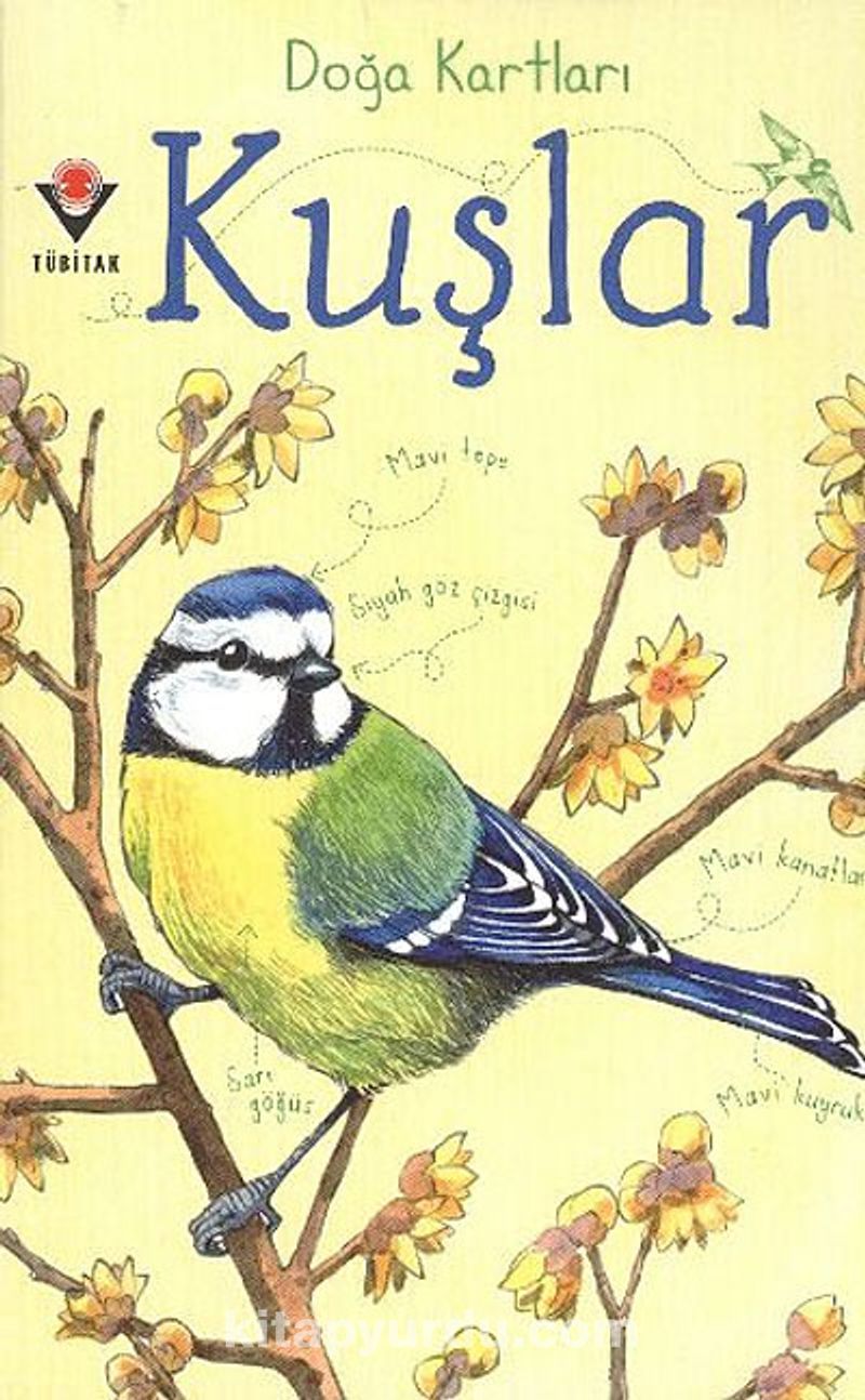 Doğa Kartları / Kuşlar