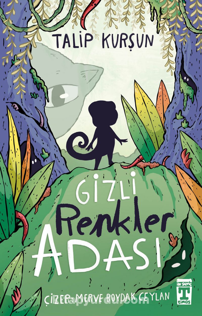 Gizli Renkler Adası