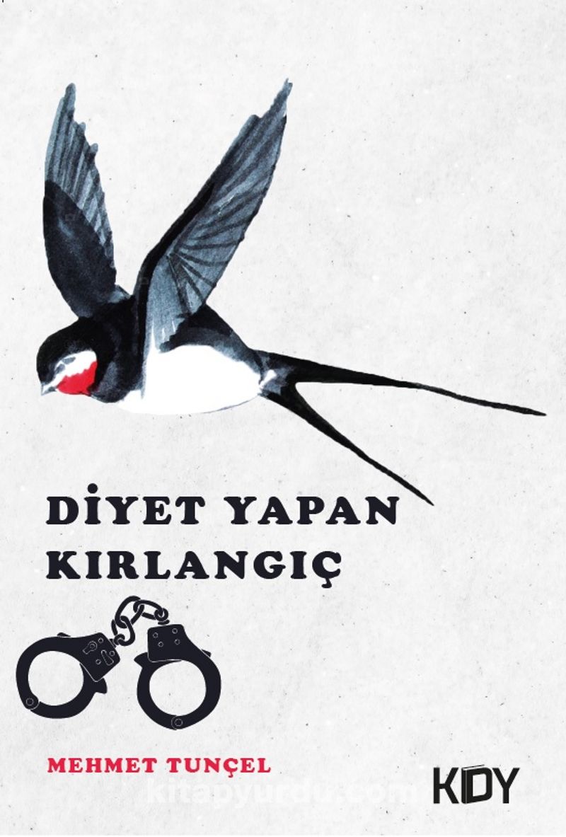 Diyet Yapan Kırlangıç
