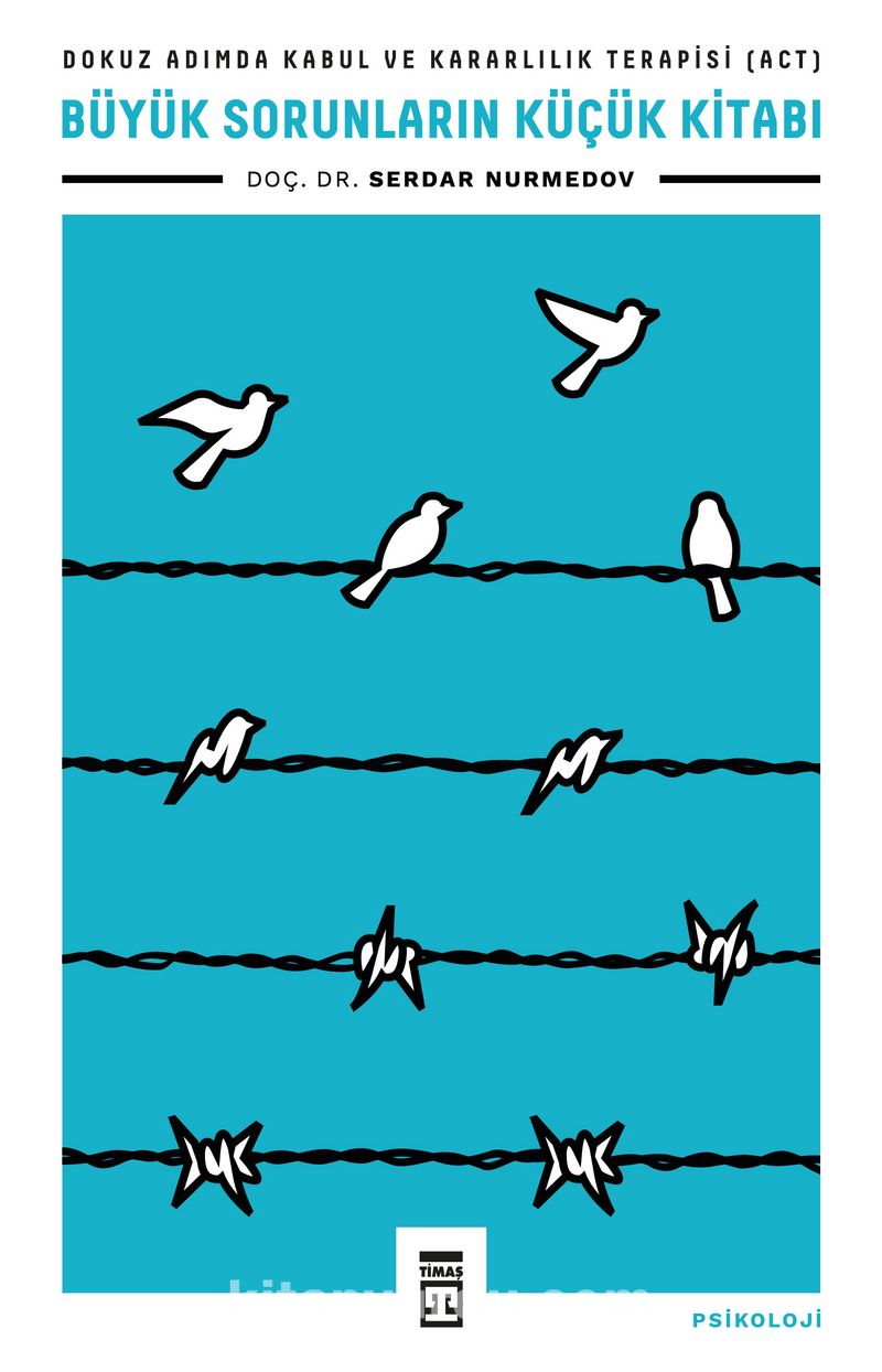 Büyük Sorunların Küçük Kitabı