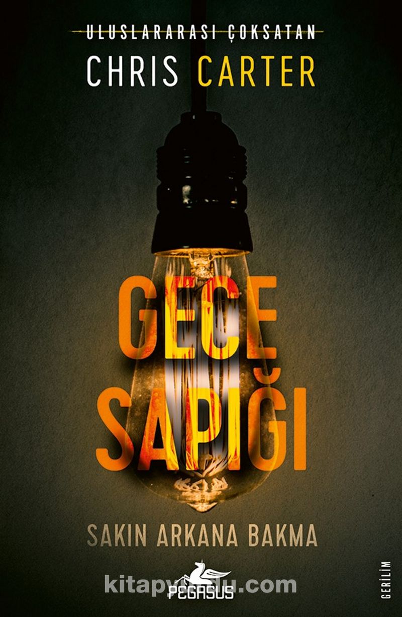 Gece Sapığı / Robert Hunter 3