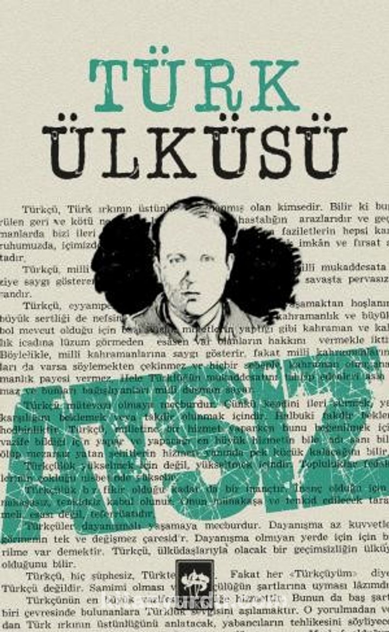 Türk Ülküsü