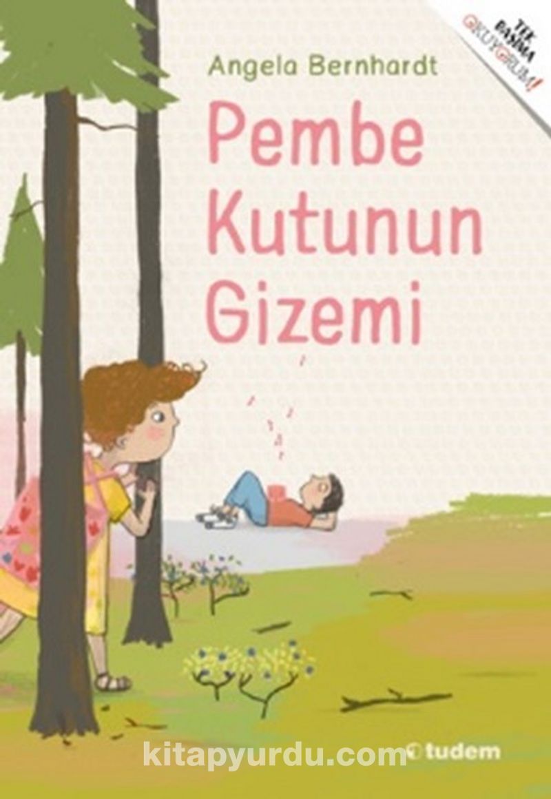 Pembe Kutunun Gizemi