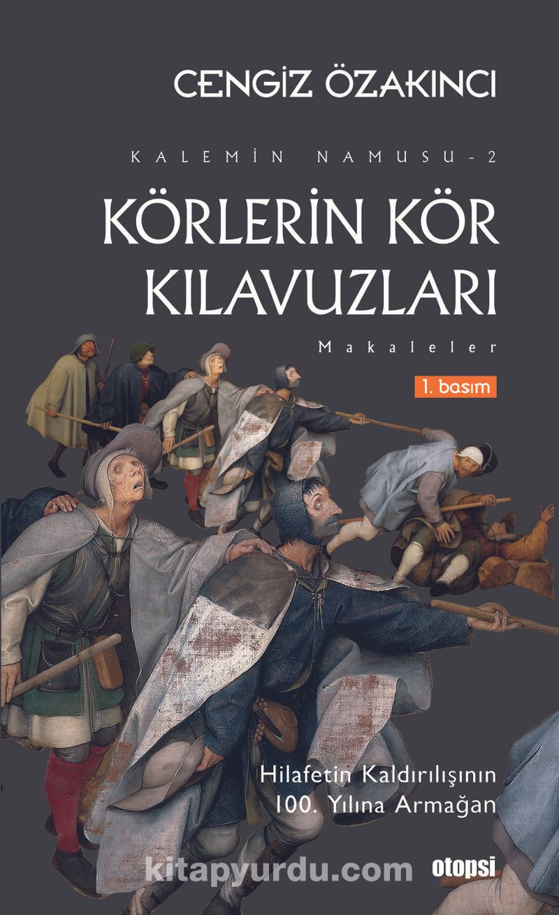 Körlerin Kör Kılavuzları