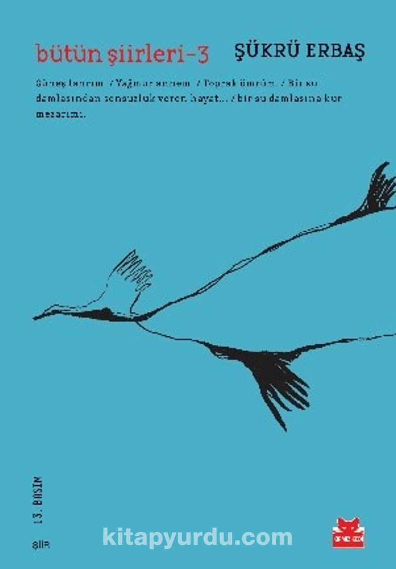 Bütün Şiirleri -3