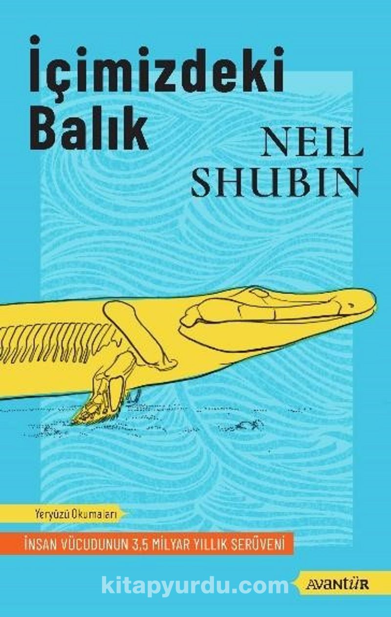 İçimizdeki Balık