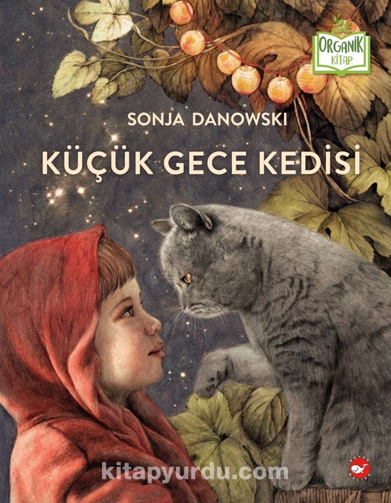 Küçük Gece Kedisi