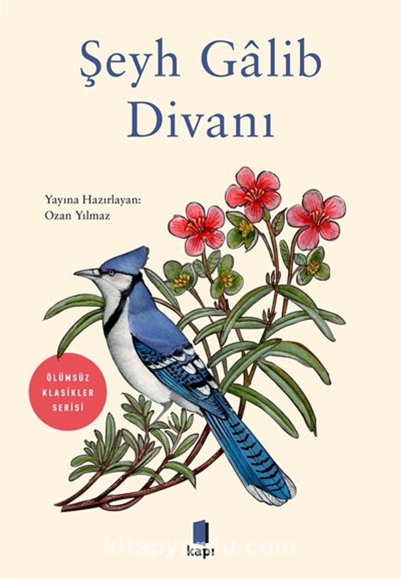 Şeyh Galib  Divanı