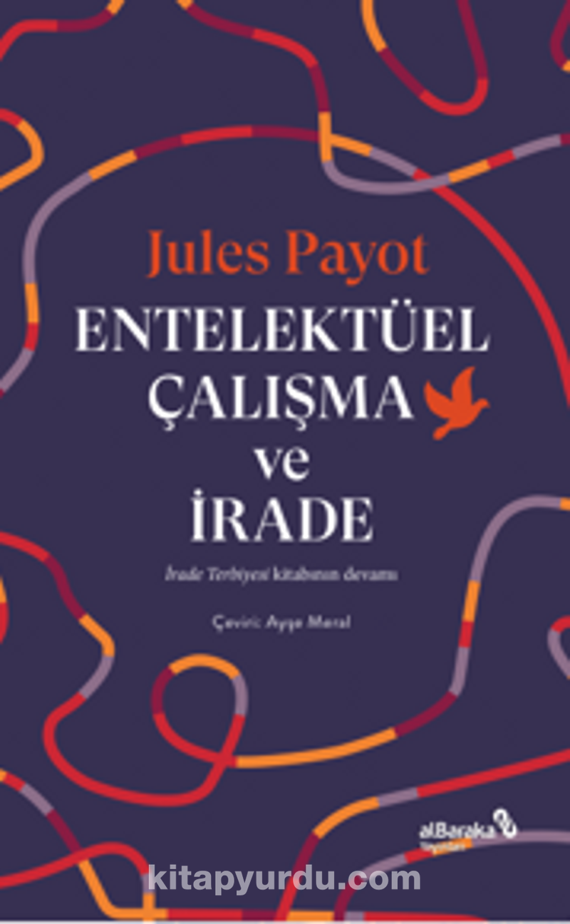 Entelektüel Çalışma ve İrade