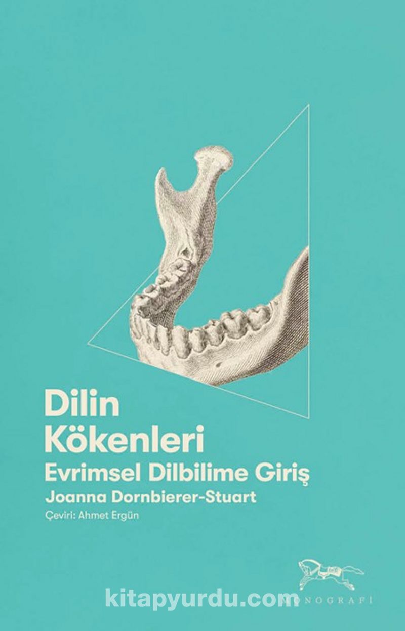 Dilin Kökenleri