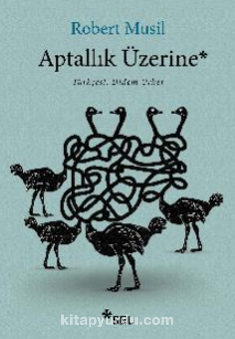 Aptallık Üzerine