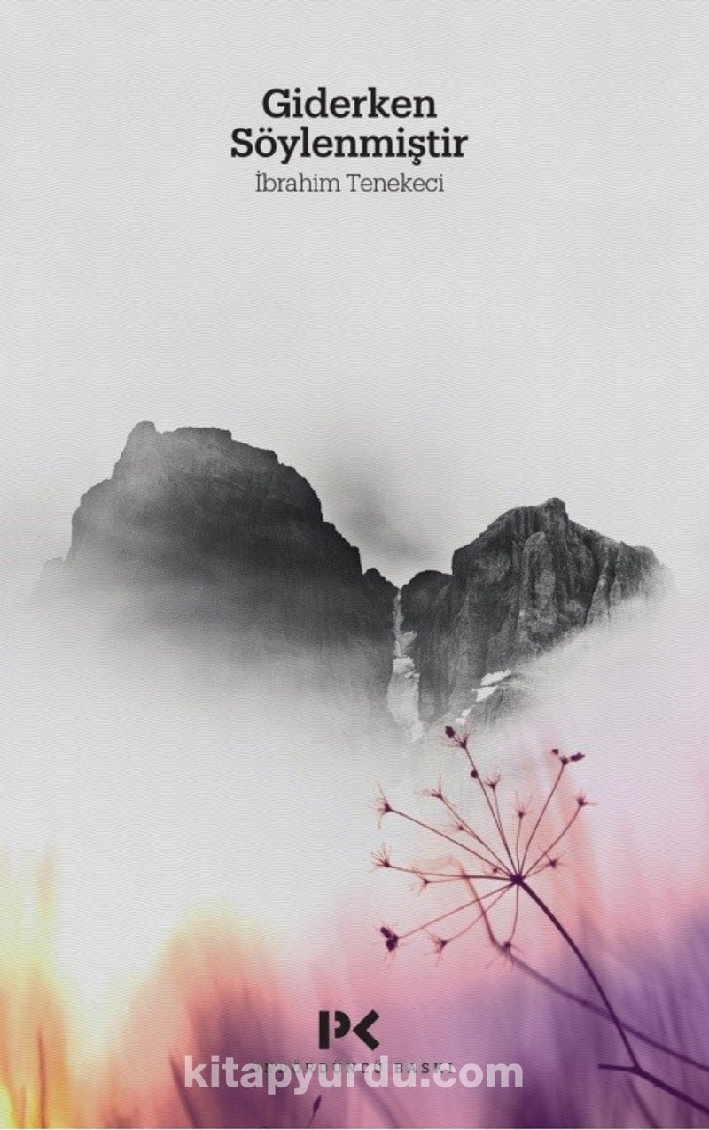 Giderken Söylenmiştir