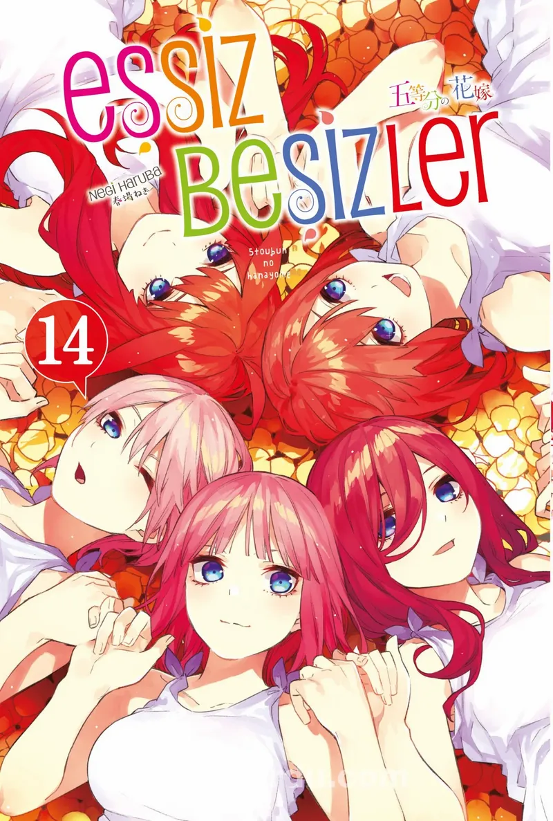 Eşsiz Beşizler 14. Cilt