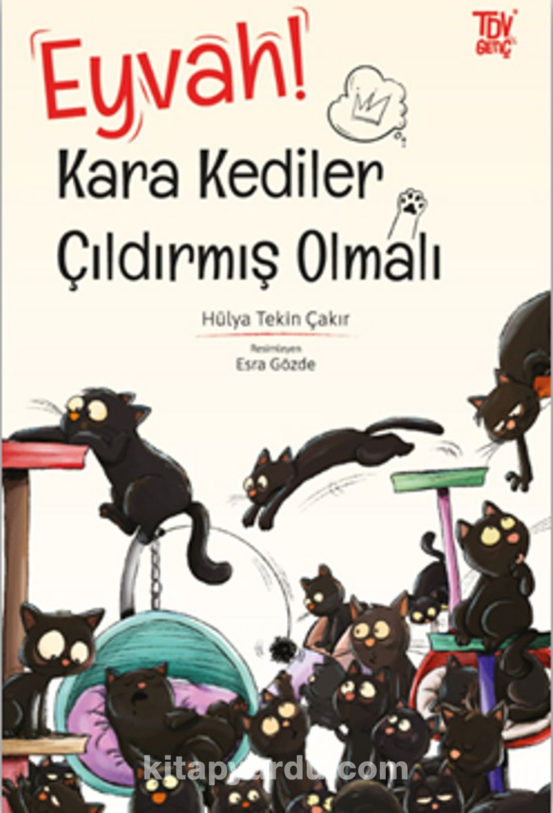 Eyvah Kara Kediler Çıldırmış Olmalı