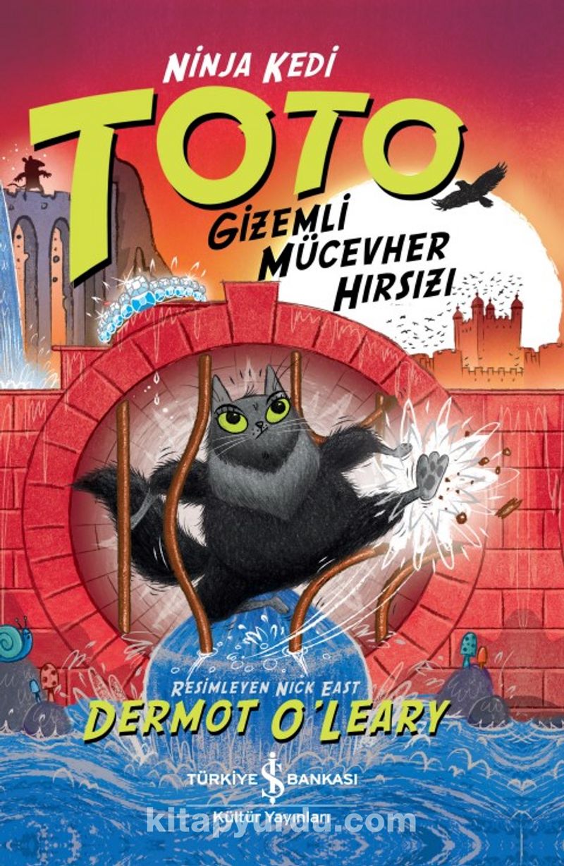 Ninja Kedi Toto