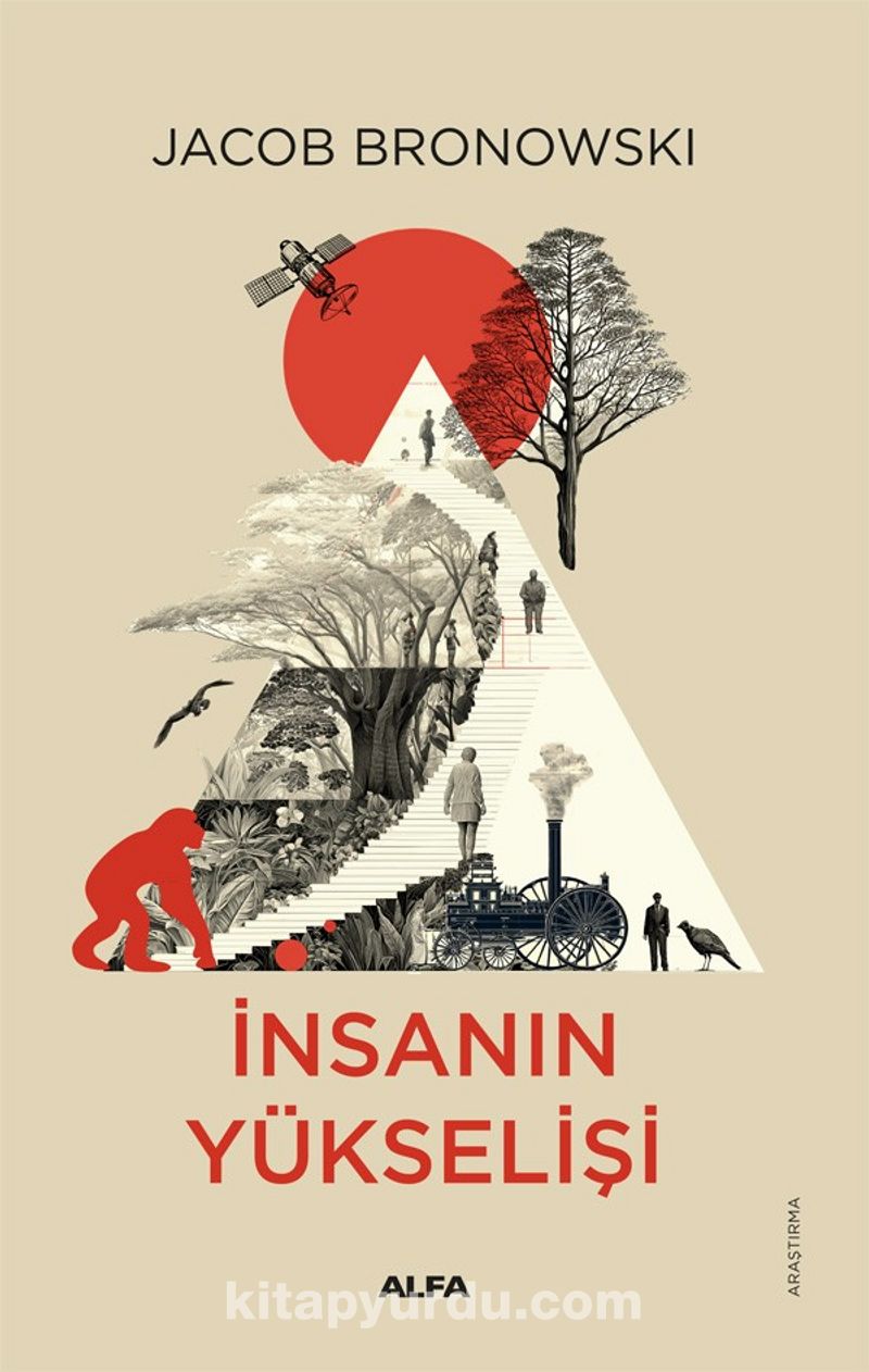 İnsanın Yükselişi