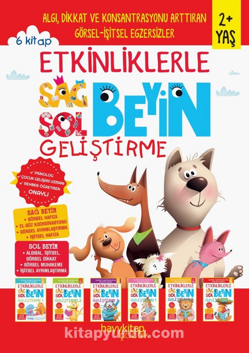 Etkinliklerle Sağ Beyin Sol Beyin Geliştirme  (2+ Yaş) (6'lı Set)