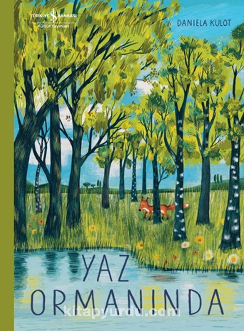 Yaz Ormanında
