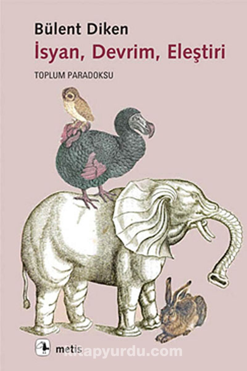 İsyan, Devrim, Eleştiri