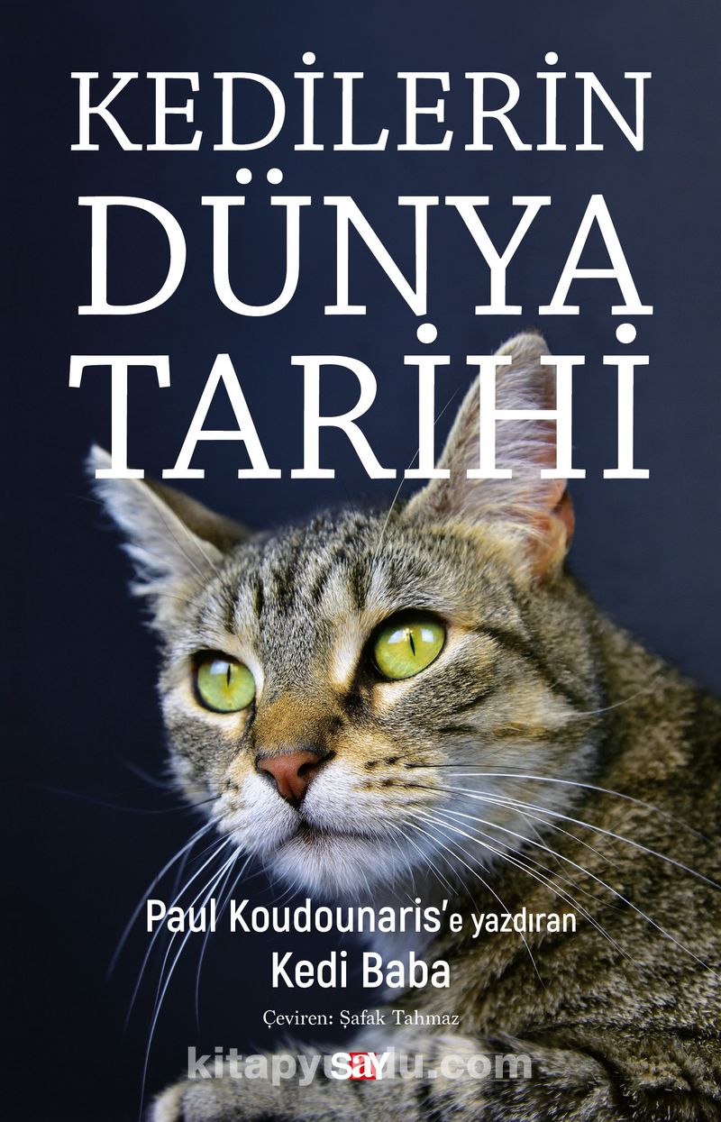 Kedilerin Dünya Tarihi