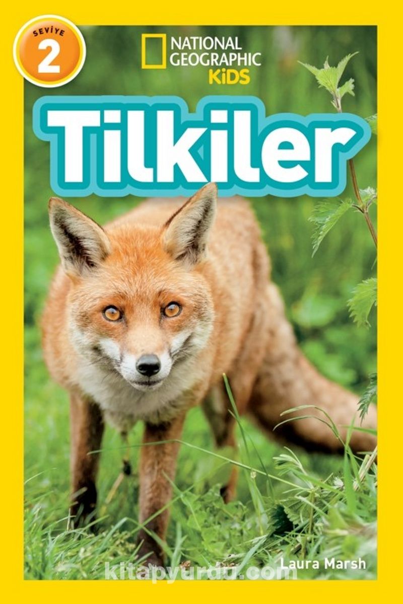 National Geographic Kids  / Tilkiler
