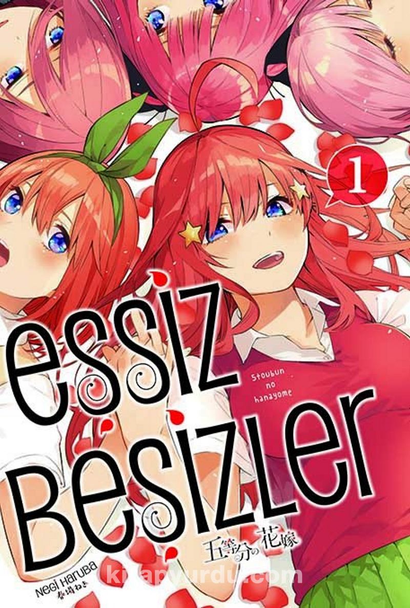 Eşsiz Beşizler 1. Cilt