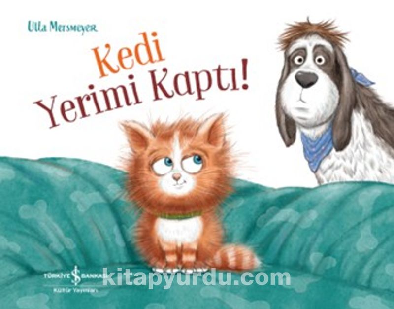 Kedi Yerimi Kaptı!