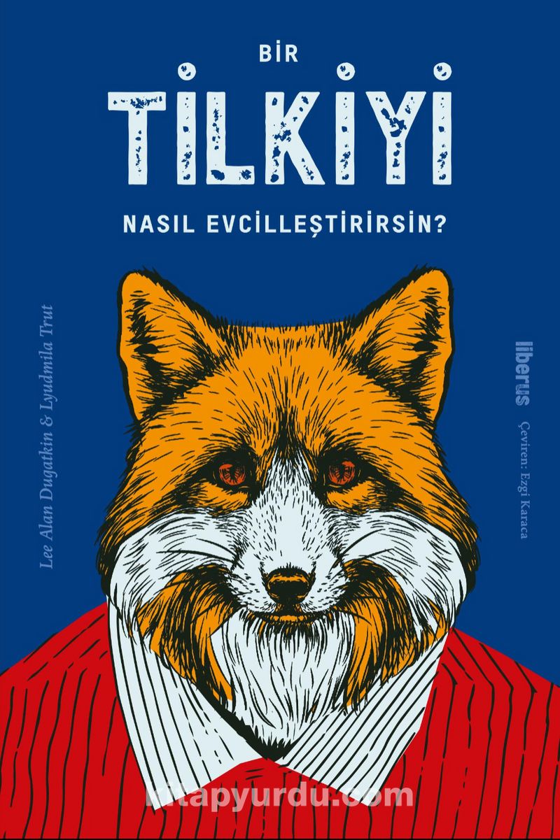 Bir Tilkiyi Nasıl Evcilleştirirsin?