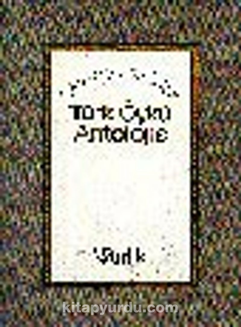 Tanzimattan Günümüze Türk Öykü Antolojisi