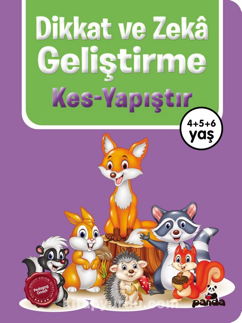 Dikkat ve Zeka Geliştirme / Kes - Yapıştır