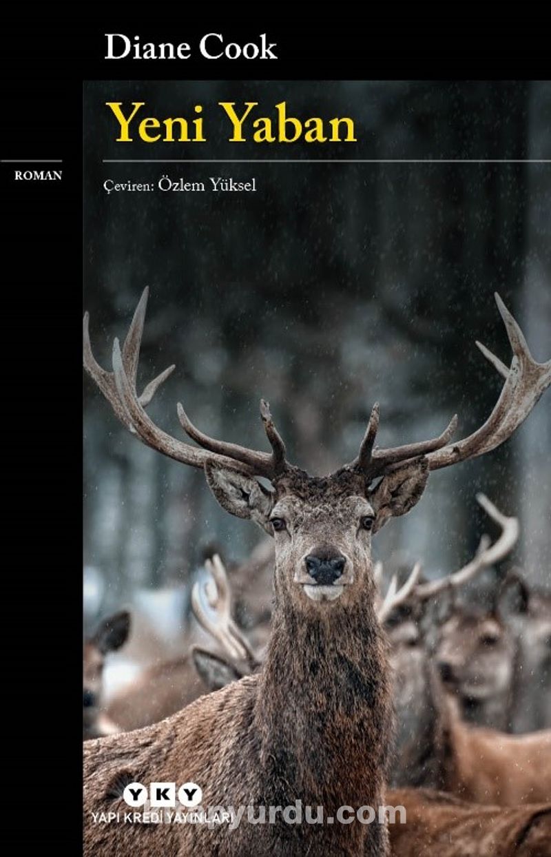 Yeni Yaban