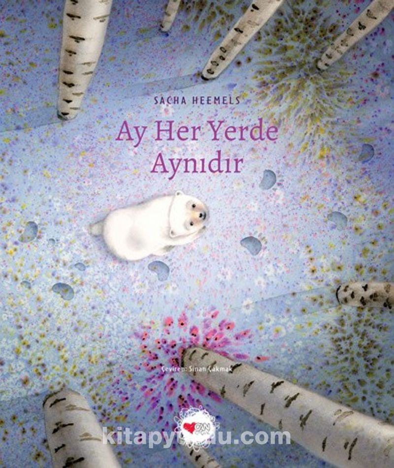 Ay Her Yerde Aynıdır